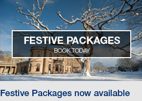 FESTIVE PACKAGES BOOK TODAY