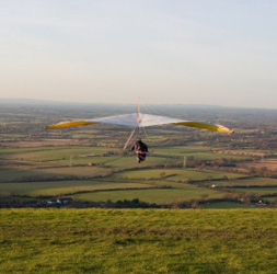 Mini multiple-choice quiz