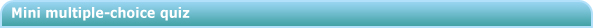 Mini multiple-choice quiz
