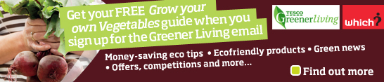 Get your free grow your own vegetable guide when you sign up for the Greener Living email