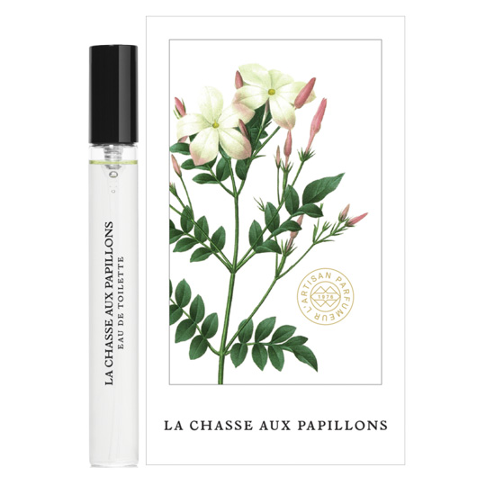 LA CHASSE AUX PAPILLONS