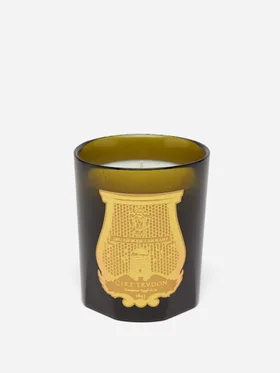SHOP TRUDON >
